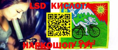 дживик Кингисепп