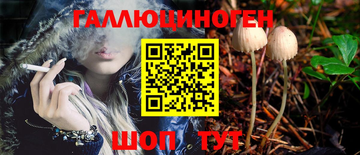 Котовск  Галлюциногенные грибы Magic Shrooms  Вход с VPN 